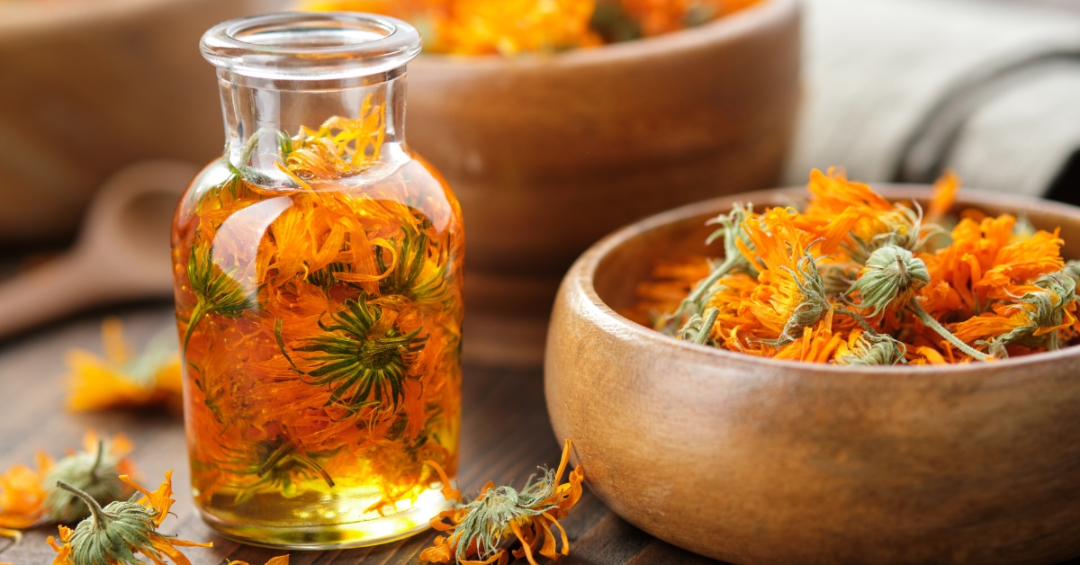 Calendula salve for healthy skin