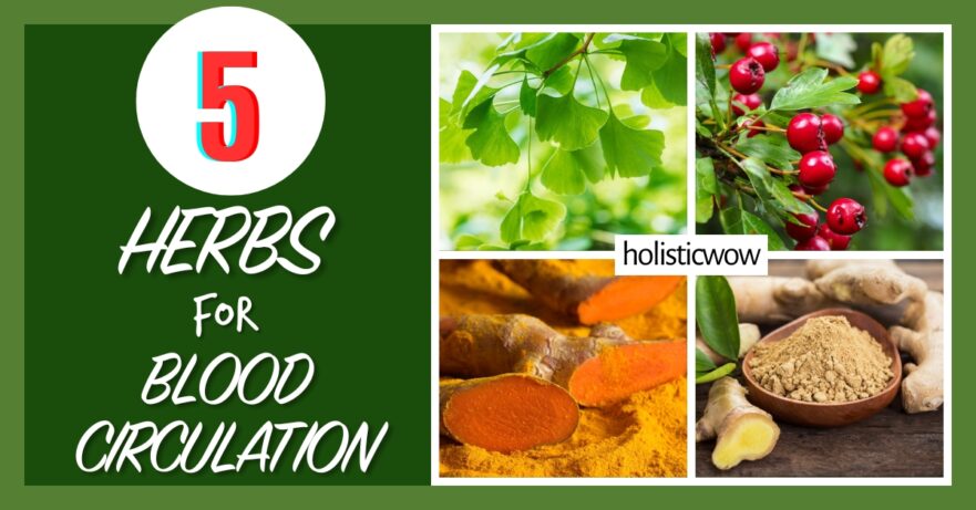 Herbs for blood circulation