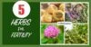 Best Herbs For Fertility Support Reference: 5 Traditional Herbs To Boost Your Fertility Naturally