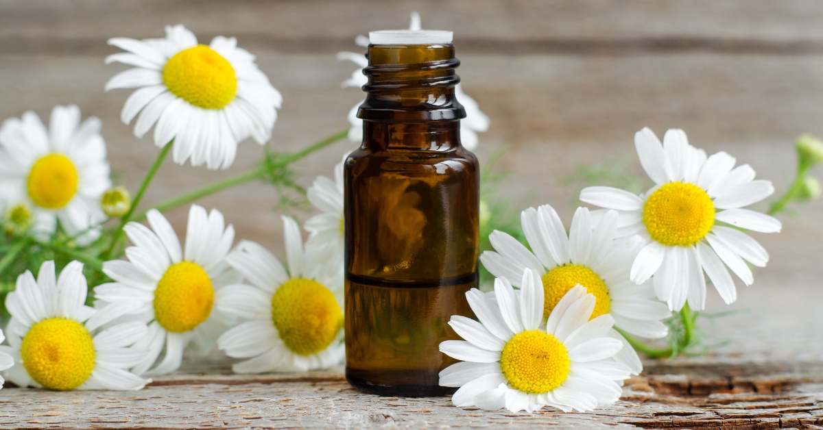 Salve for hemorrhoid relief