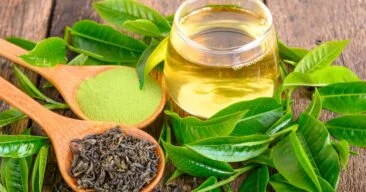 Beautiful view of Cat Prostate Support Herbs
