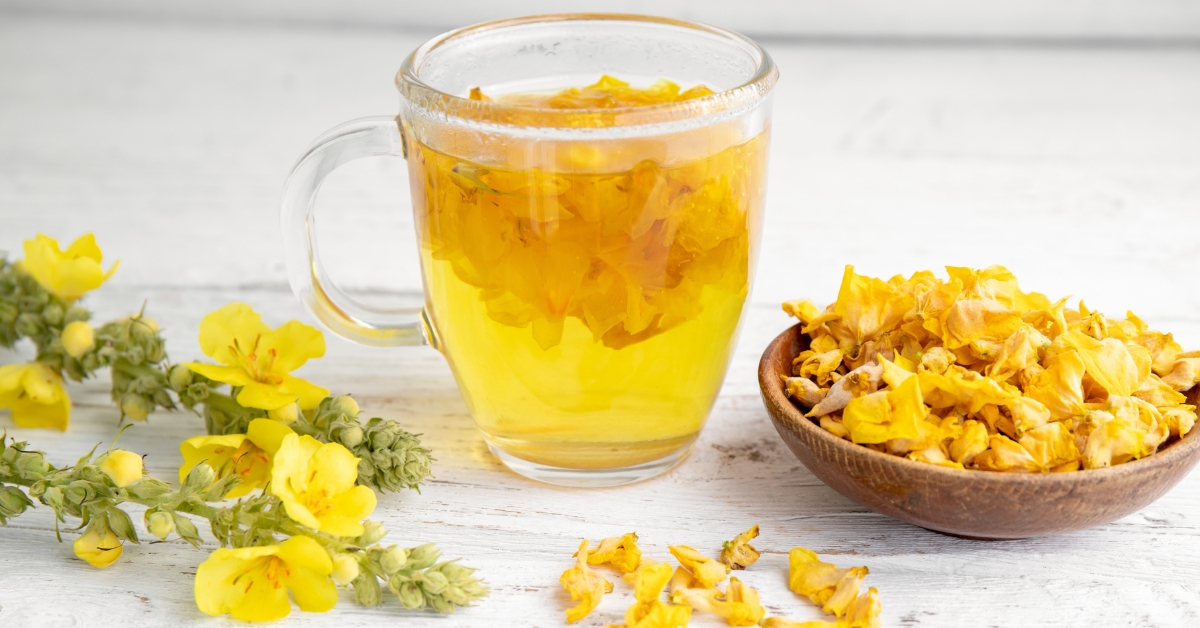 Mullein tea