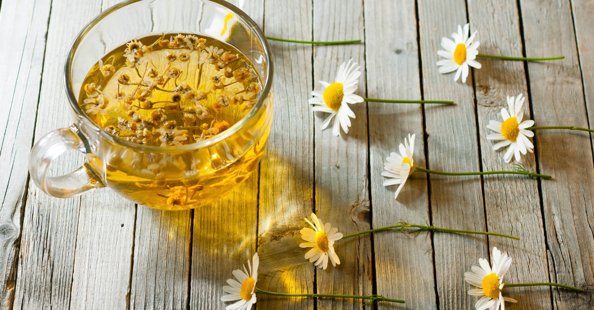 Herbal tea with chamomile and witch hazel