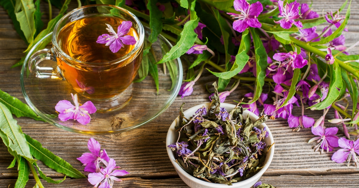 Herbal tea for urinary tract health
