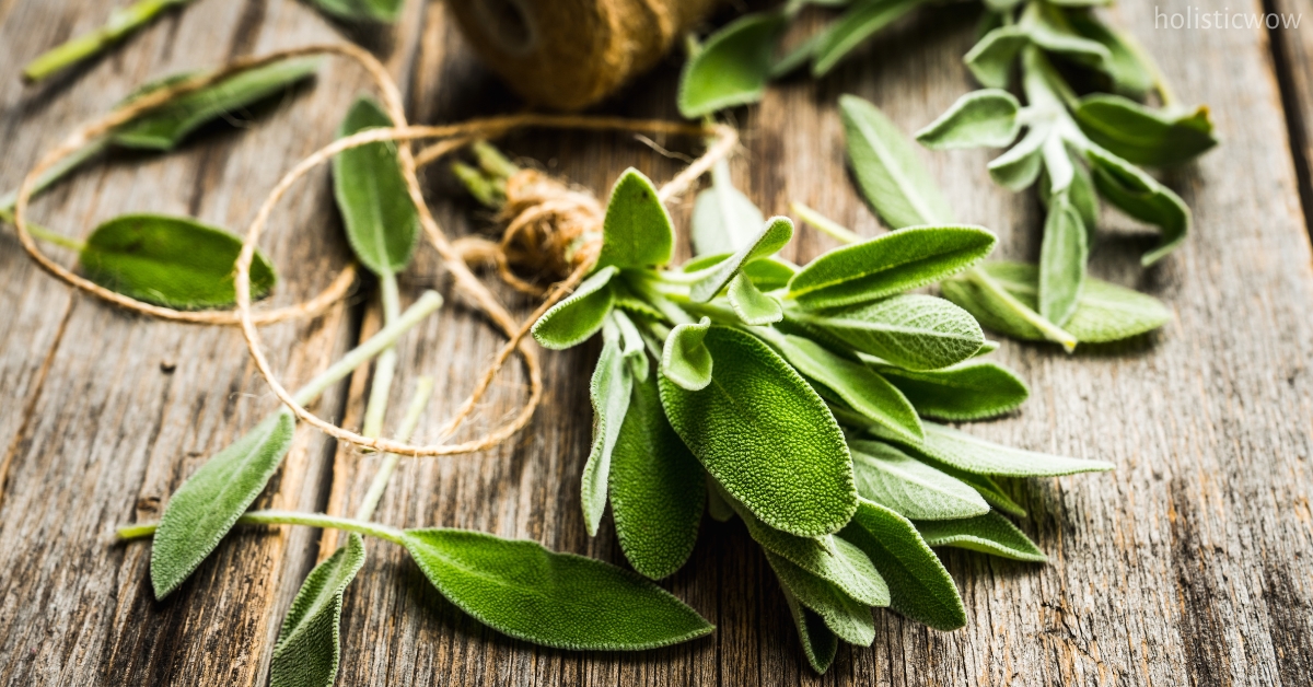 Sage for soothing inflammation