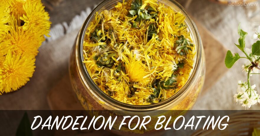 Dandelion for Bloating