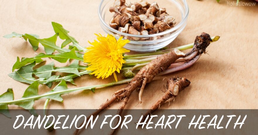 Dandelion for heart health
