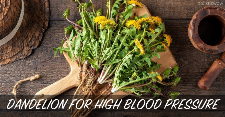 Dandelion for high blood pressure