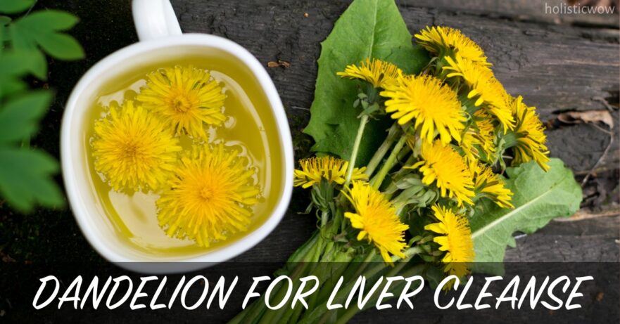 Dandelion for Liver Cleanse