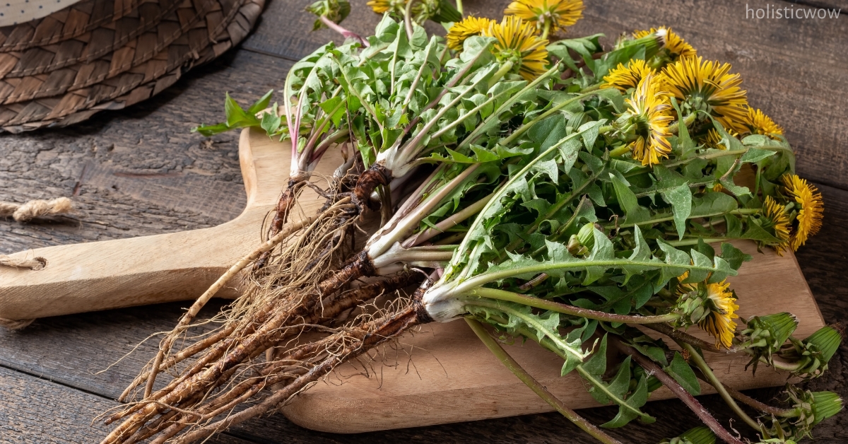 Dandelion for lowering blood pressure
