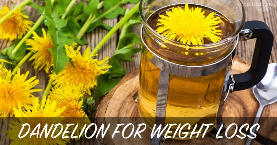 Dandelion for weight loss
