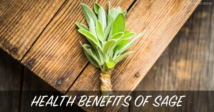 Discover the Health Benefits of Sage: A Powerful Herb for Wellness