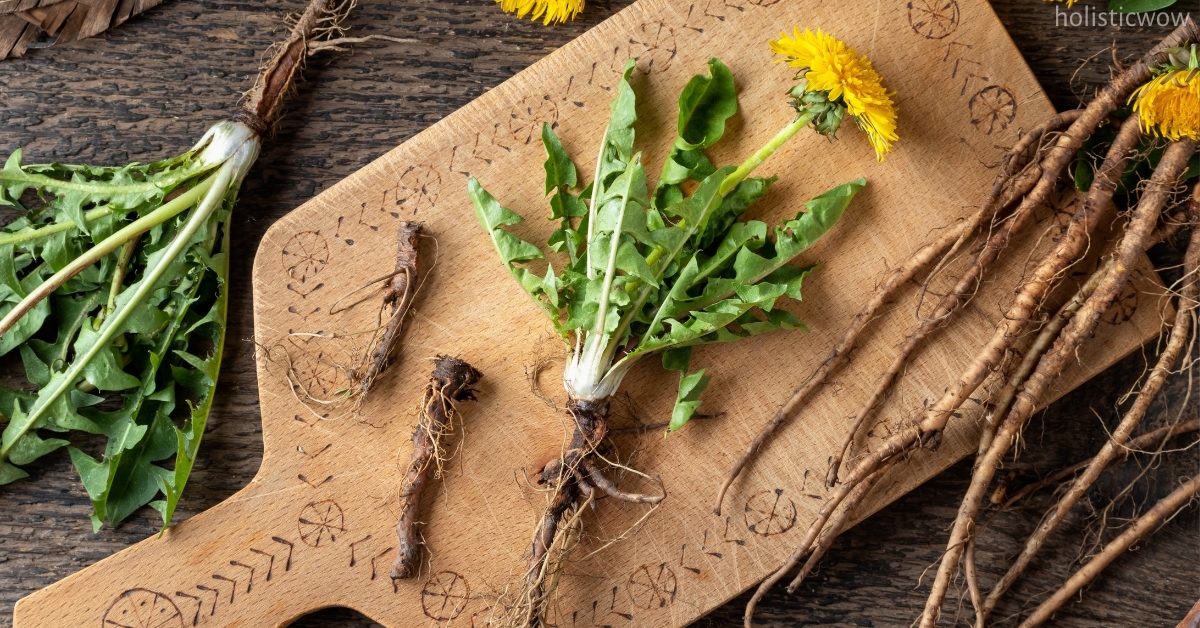 Hypolipidemic effect of dandelion