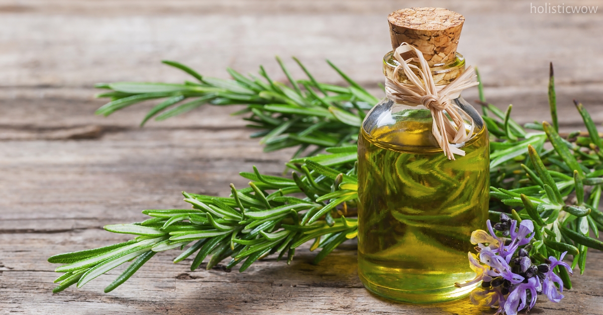 Rosemary oil for hair thinning