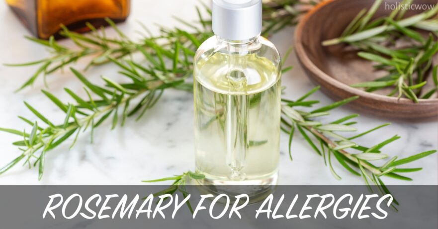 Rosemary for allergies