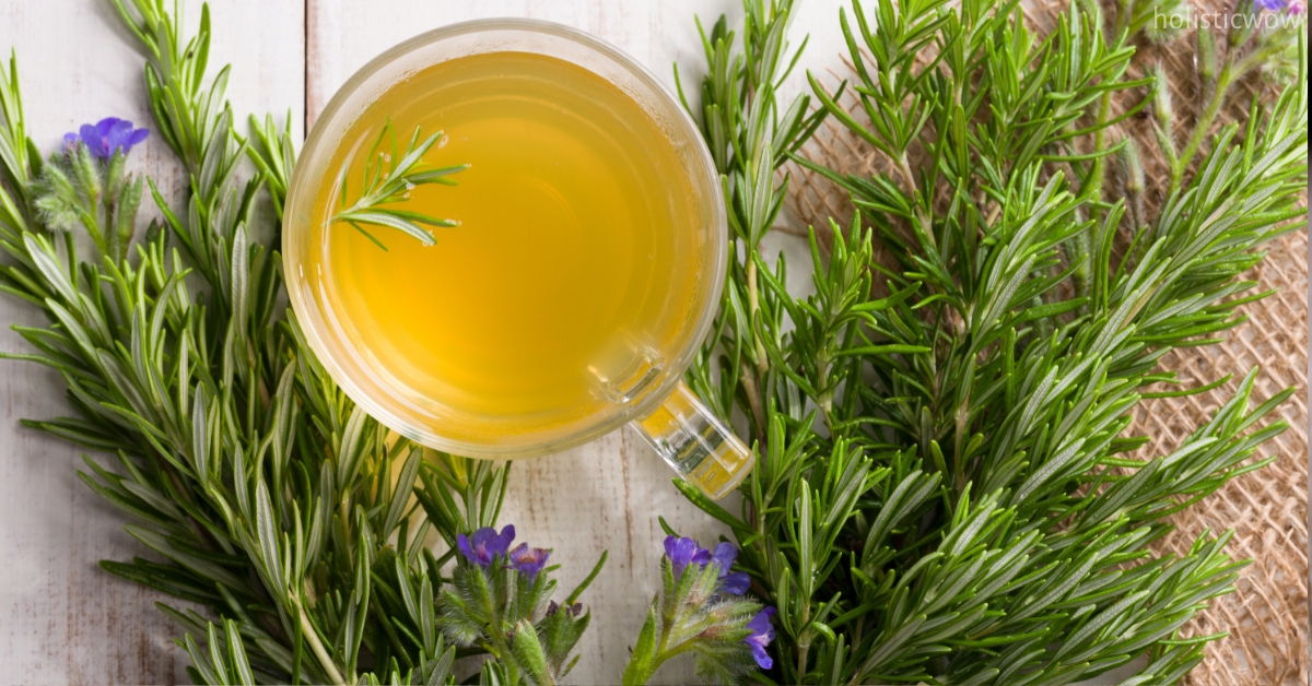 Rosemary for improving memory
