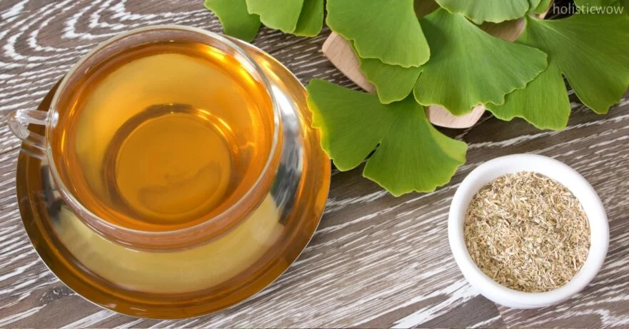 Ginkgo Biloba Benefits, Uses, and Side Effects Explained | HolisticWow