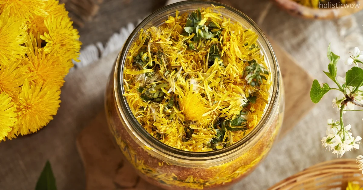 Milk Thistle vs Dandelion: Liver-Loving Herbs Compared 3 Benefits of dandelion for liver function