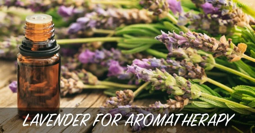 Lavender for Aromatherapy: Calming Benefits and Uses 16 Lavender for aromatherapy
