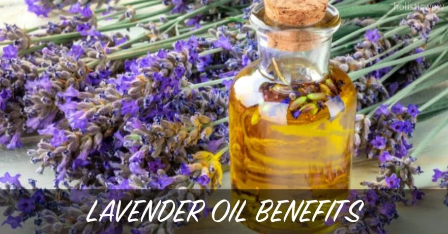 Lavender Oil Benefits, Uses and Side Effects: Complete Guide 31 Lavender oil benefits