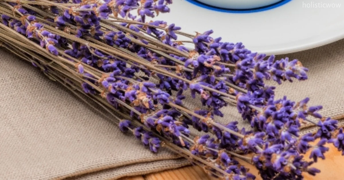 Lavender for Skin: Benefits and Natural Uses of Lavender Oil 3 Using lavender oil for eczema