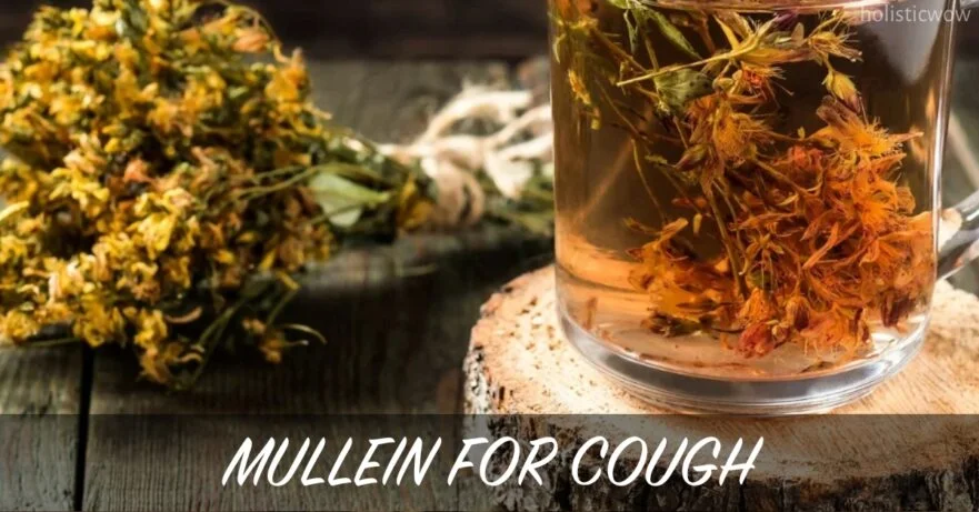 Mullein for Cough: Natural Expectorant for Respiratory Relief 11 Mullein for cough