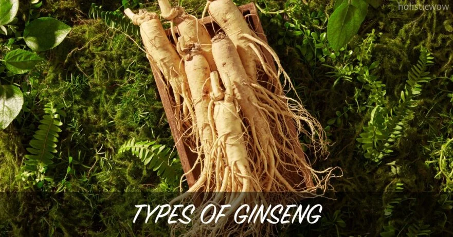 Types of Ginseng: Korean, American, and Siberian Explained 22 Types of ginseng
